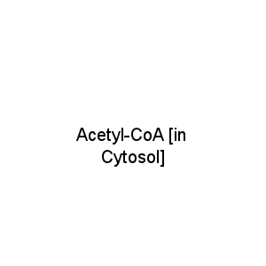 Acetyl-CoA [in Cytosol]